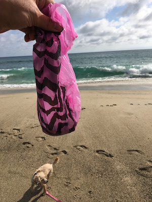 Beach scene with human hand holding a pink plastic bag filled with dog poop
